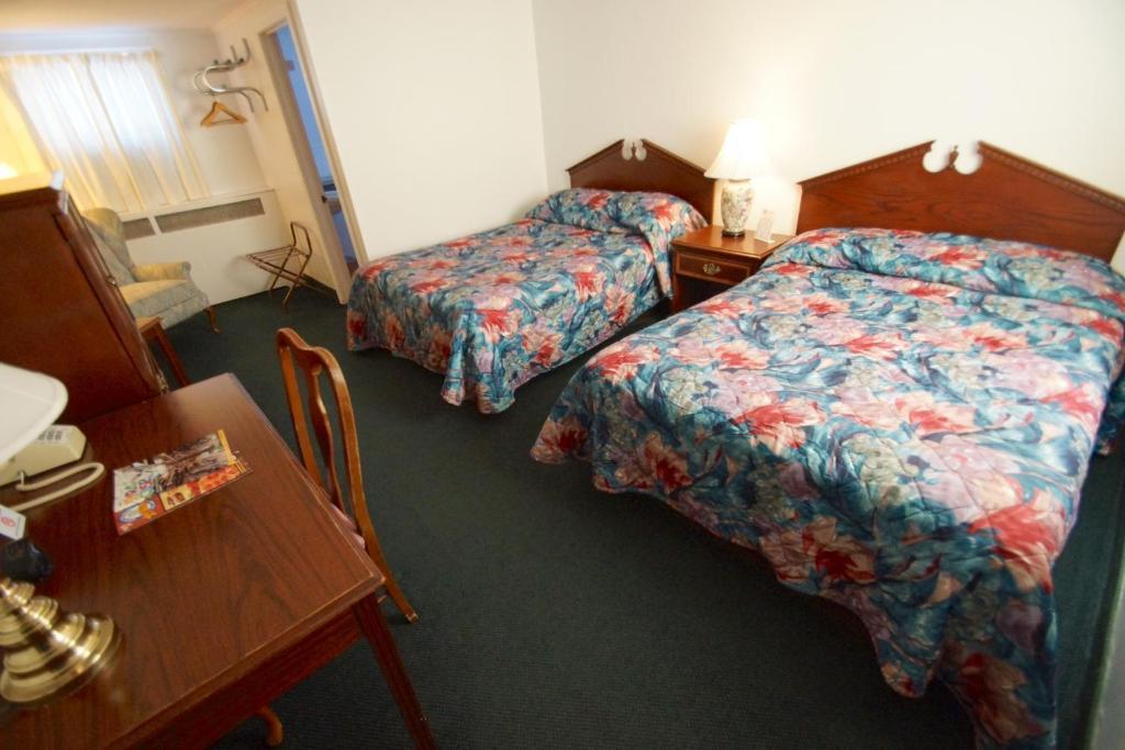 Birds Nest Motel Скеніетлес Номер фото